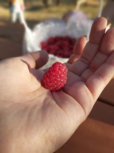 283674818_408271264538369_5948918389181709984_n